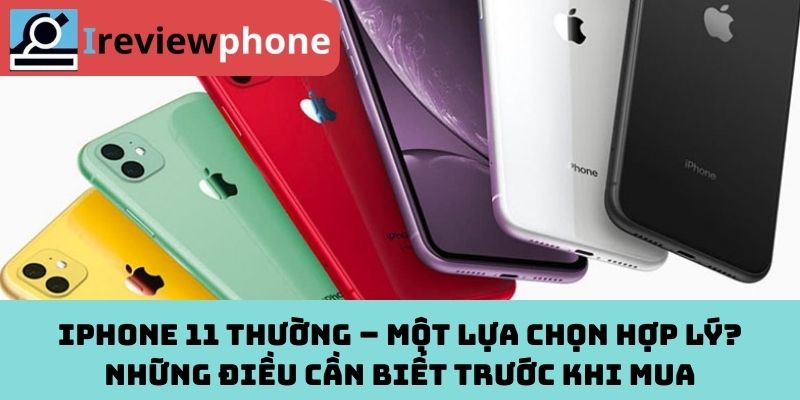 iPhone 11 thường – Một lựa chọn hợp lý? Những điều cần biết trước khi mua